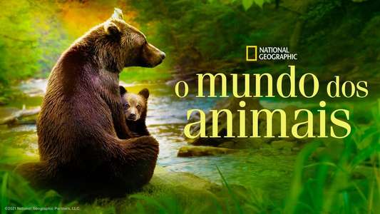 Growing Up Animal - Backdrops