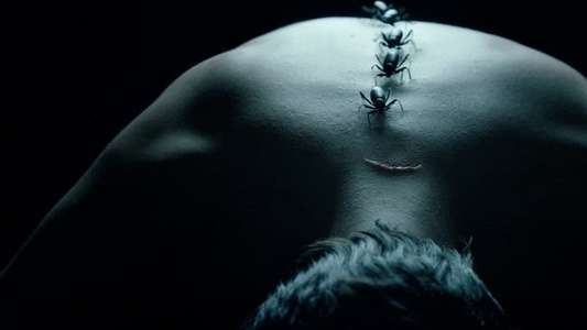 American Horror Story - Backdrops