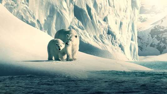 Our Planet - Backdrops