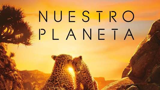 Our Planet - Backdrops