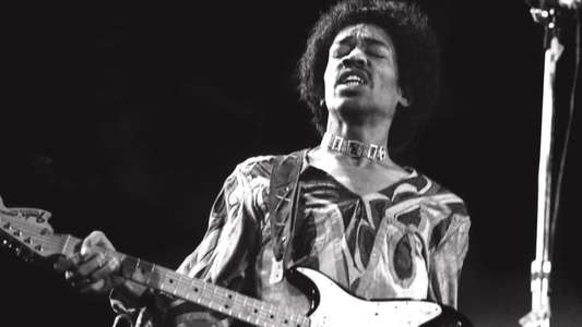 Woodstock: 3 Days That Changed Everything - Backdrops