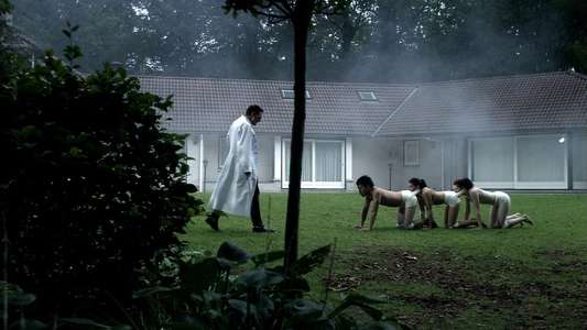 The Human Centipede (First Sequence) - Backdrop