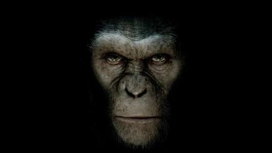 Rise of the Planet of the Apes - Backdrops