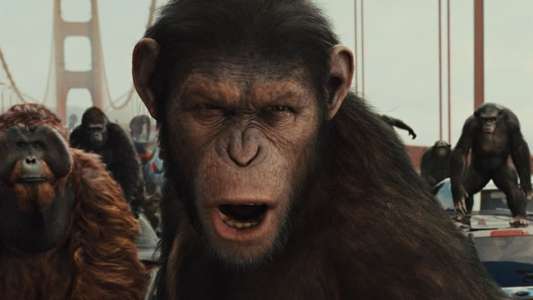 Rise of the Planet of the Apes - Backdrops