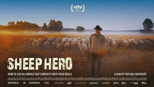 Sheep Hero - Backdrop