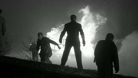 The Long Haul - Backdrops