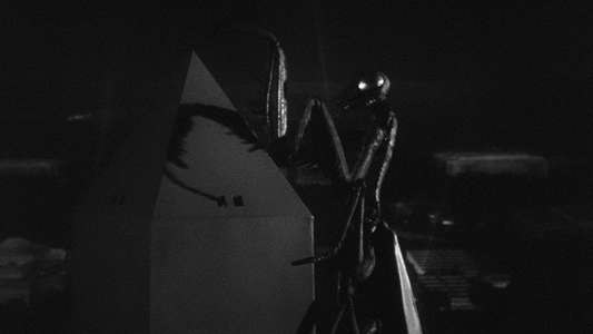 The Deadly Mantis - Backdrop