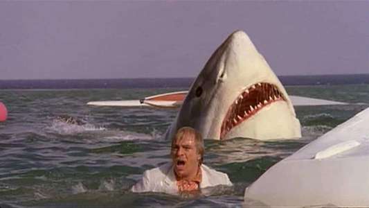 The Last Shark - Backdrops