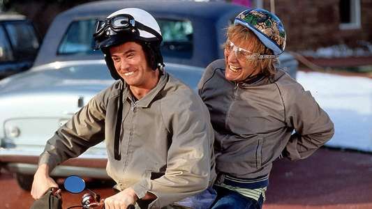Dumb and Dumber - Backdrop