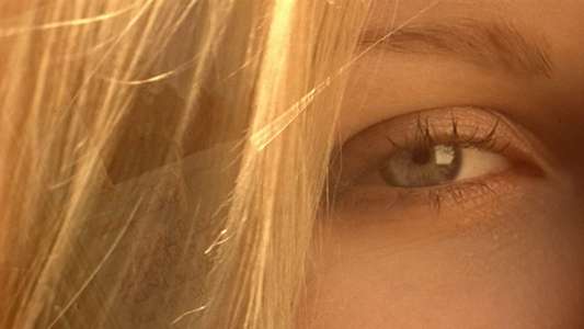 The Virgin Suicides - Backdrop