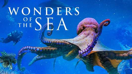 Wonders of the Sea 3D - Backdrops