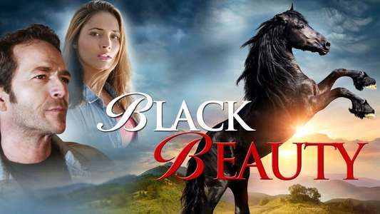 Black Beauty - Backdrop