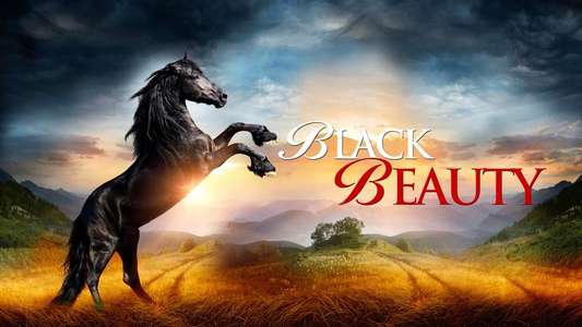 Black Beauty - Backdrop
