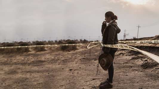Not My Fault: Mexico - Backdrops