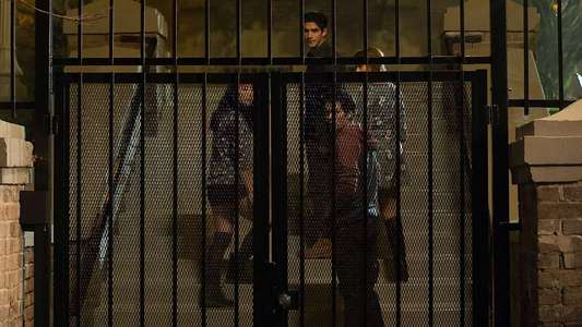 Teen Wolf - Backdrop