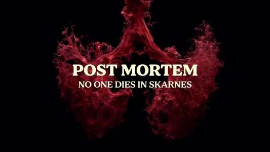 Post Mortem: No One Dies in Skarnes - Backdrops
