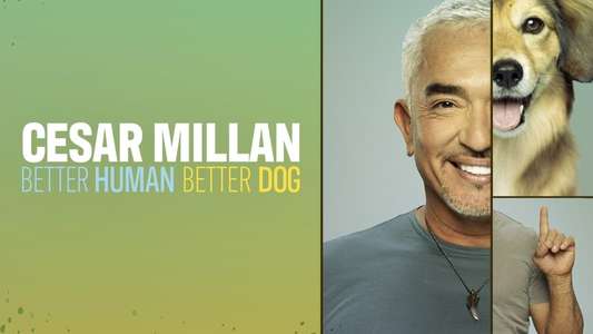 Cesar Millan: Better Human Better Dog - Backdrops