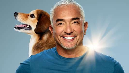 Cesar Millan: Better Human Better Dog - Backdrops
