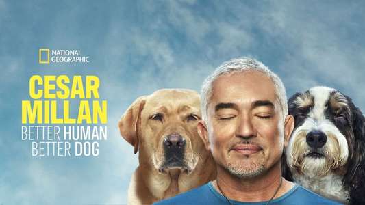 Cesar Millan: Better Human Better Dog - Backdrops