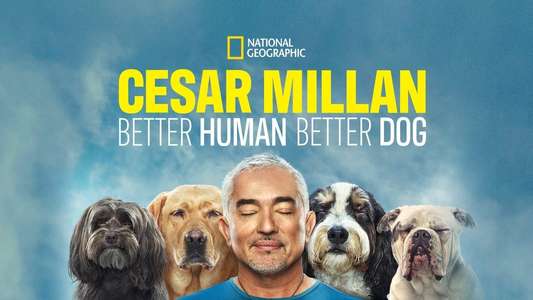 Cesar Millan: Better Human Better Dog - Backdrops
