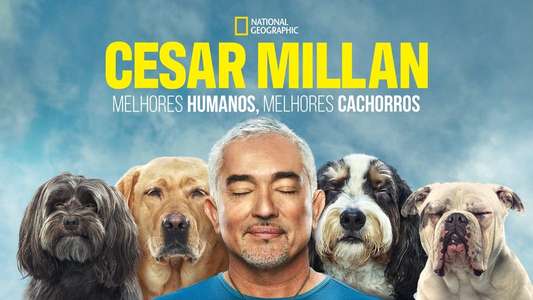 Cesar Millan: Better Human Better Dog - Backdrops