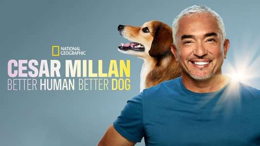 Cesar Millan: Better Human Better Dog - Backdrops