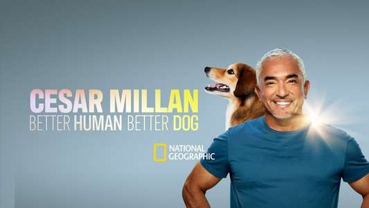 Cesar Millan: Better Human Better Dog - Backdrops