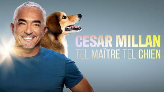 Cesar Millan: Better Human Better Dog - Backdrops