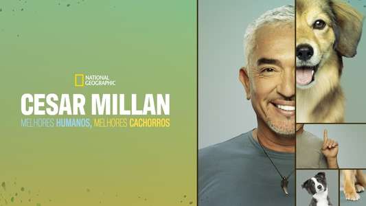 Cesar Millan: Better Human Better Dog - Backdrops