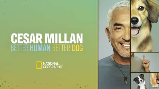 Cesar Millan: Better Human Better Dog - Backdrops