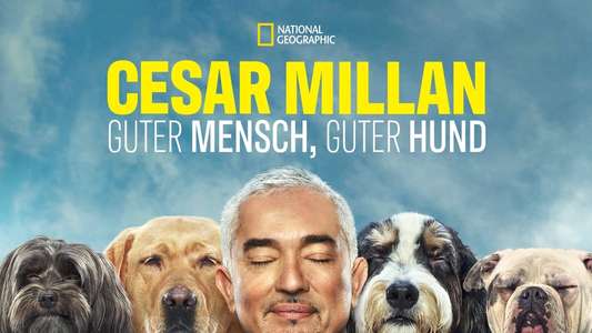 Cesar Millan: Better Human Better Dog - Backdrops