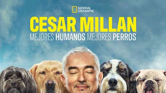 Cesar Millan: Better Human Better Dog - Backdrops