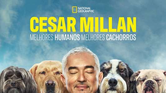 Cesar Millan: Better Human Better Dog - Backdrops