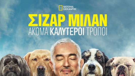 Cesar Millan: Better Human Better Dog - Backdrops