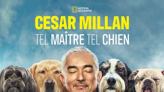 Cesar Millan: Better Human Better Dog - Backdrops