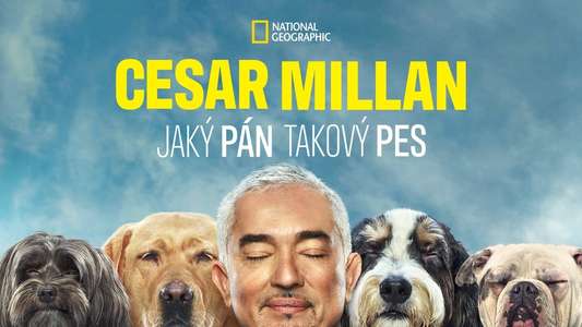 Cesar Millan: Better Human Better Dog - Backdrops