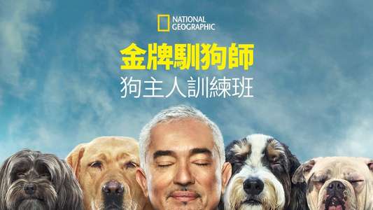 Cesar Millan: Better Human Better Dog - Backdrops