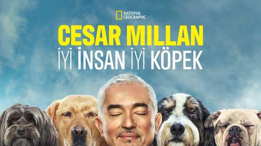 Cesar Millan: Better Human Better Dog - Backdrops