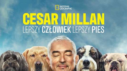 Cesar Millan: Better Human Better Dog - Backdrops