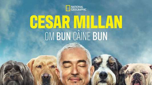 Cesar Millan: Better Human Better Dog - Backdrops
