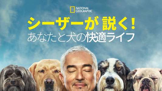 Cesar Millan: Better Human Better Dog - Backdrops