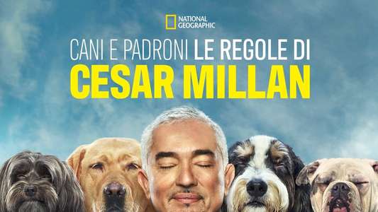Cesar Millan: Better Human Better Dog - Backdrops