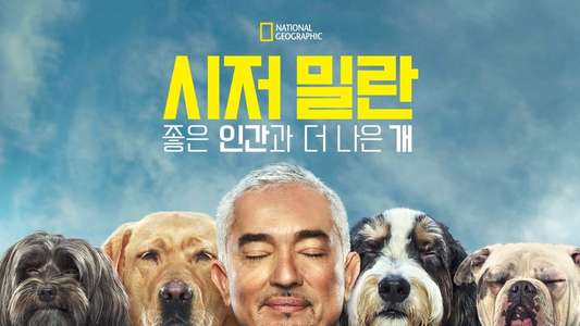 Cesar Millan: Better Human Better Dog - Backdrops