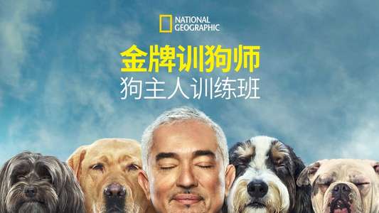 Cesar Millan: Better Human Better Dog - Backdrops