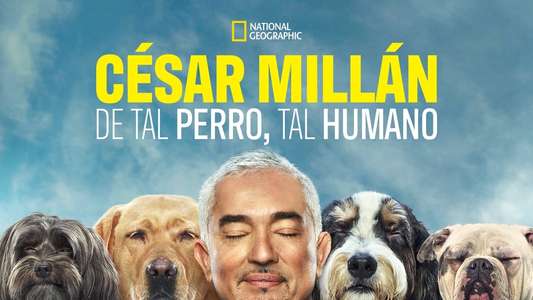 Cesar Millan: Better Human Better Dog - Backdrops
