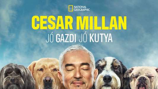 Cesar Millan: Better Human Better Dog - Backdrops