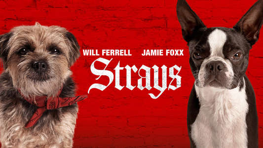 Strays - Backdrops