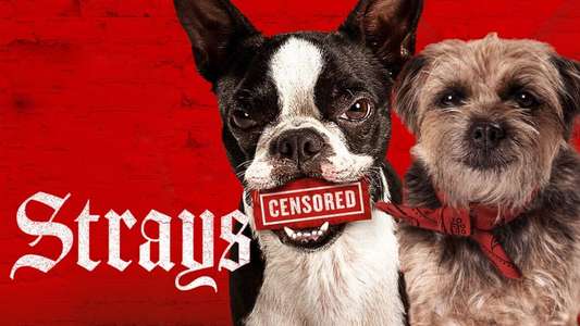 Strays - Backdrops