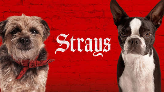 Strays - Backdrops