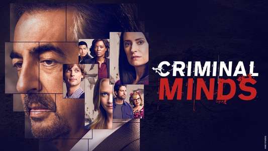 Criminal Minds - Backdrops